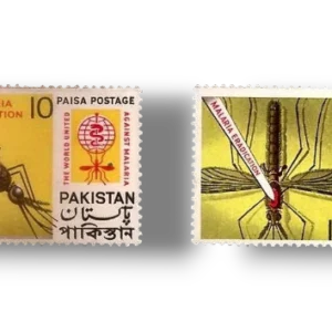 Malaria Eradication Mosquito