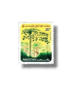 1977 PK441 National Tree Plantation