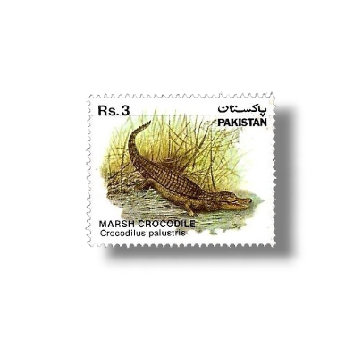 1983 PK599 Wild life series Marsh Crocodile Crocodylus palustris