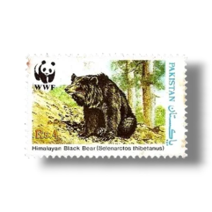 1989 PK783 Wildlife protection Asiatic Black Bear Ursus thibetanus