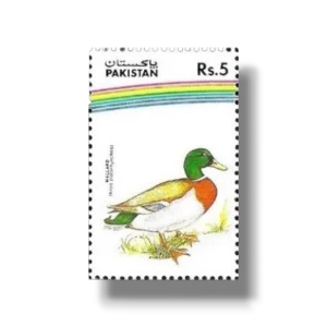 1992 PK881 Water Birds Mallard