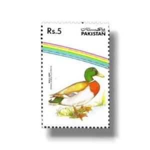 1992 PK883 Water Birds Mallard