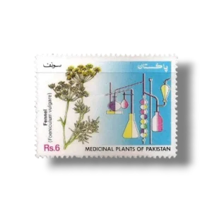 1993 PK903 Medicinal Plants Fennel