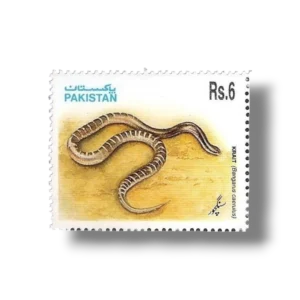 1995 PK953 Snakes Common Krait (Bungarus caeruleus)