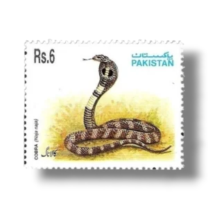 1995 PK954 Snakes Indian Cobra (Naja naja)