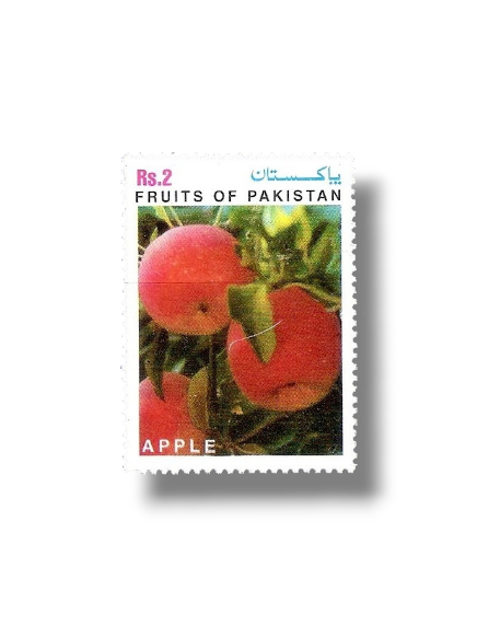 1997 PK1016 Fruits of Pakistan Apple