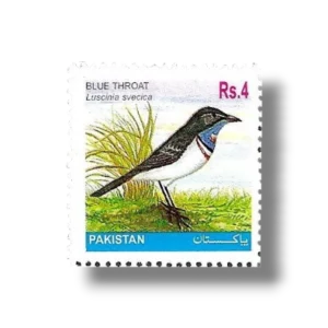 2001 PK1145 Bluethroat Luscinia svecica