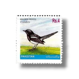 2001 PK1148 Oriental Magpie-robin Copsychus saularis