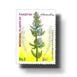 2002 PK1159 Medicinal Plants of Pakistan Hyssop