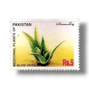 2006 Pk1333 Medicinal Plants of Pakistan Aloe Vera