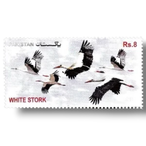 2012 PK1460 Migratory Birds White Stork Ciconia ciconia
