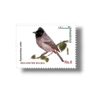 2013 PK1493 Red-vented Bulbul Pycnonotus cafer