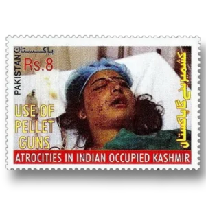 Human Rights Abuses in Kashmir