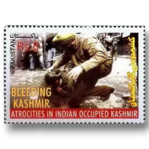 Human Rights Abuses in Kashmir