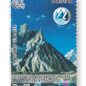 International Year of Glacier Preservation Baltoro Glacier